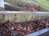 image of grave number 373650